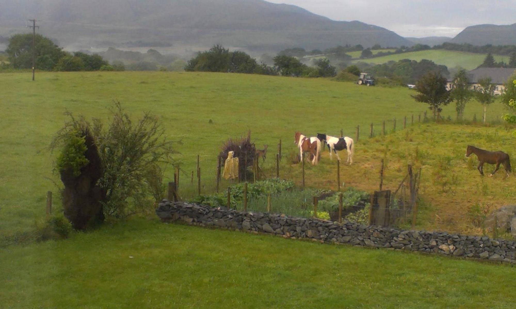 Dunn Court House Bed & Breakfast Killarney Eksteriør bilde